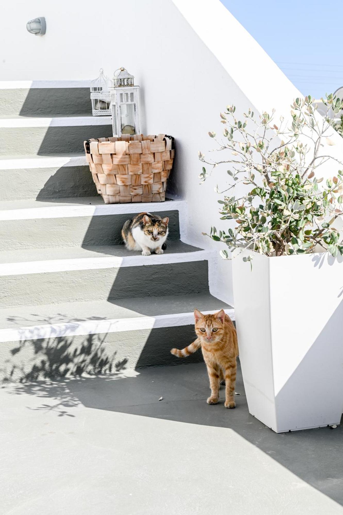White Curves Santorini Bed & Breakfast Akrotiri  Luaran gambar